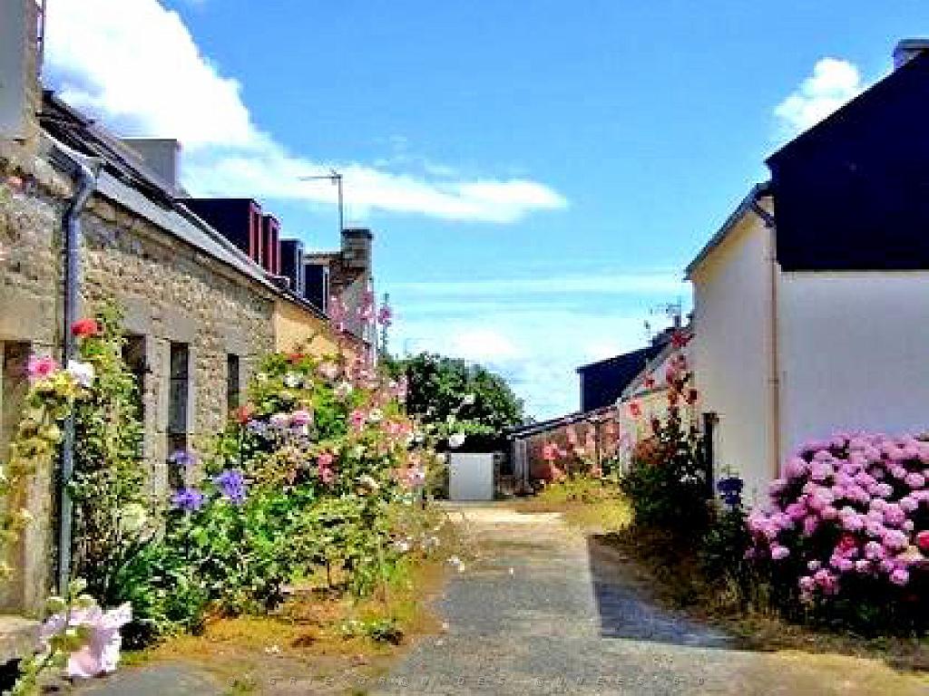 156 ILE DE HOEDIC_000064.jpg
